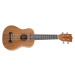 Tanglewood TWT 2