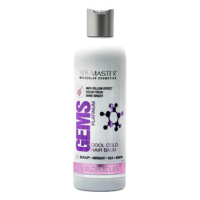 SPA MASTER Gems Platinum Barvící balzám s anti-žlutým efektem s pH 4,5 330 ml