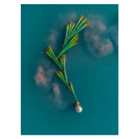 Ilustrace Drone shot looking down on a, Abstract Aerial Art, 30x40 cm