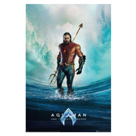 Plakát, Obraz - Aquaman and the Lost Kingdom - Tempest, (61 x 91.5 cm) Pyramid