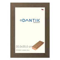 DANTIK rámeček 20 × 30, ATHINA hnědý sklo čiré