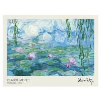 Obrazová reprodukce Water Lilies 1916, Claude Monet, 40 × 30 cm