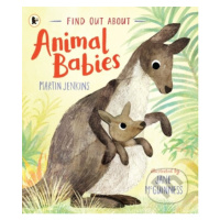 Find Out About ... Animal Babies - Martin Jenkins, Jane McGuinness (ilustrátor) - kniha z katego