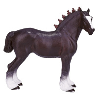 Mojo Shirský kůň