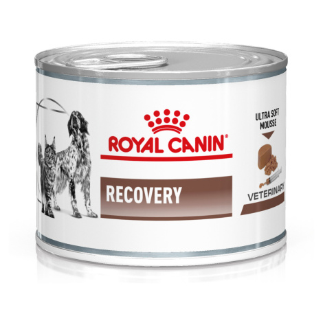 Royal Canin Veterinary Feline Recovery Mousse - 24 x 195 g