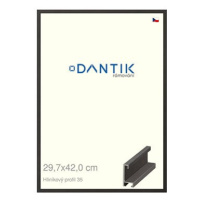 DANTIK rámeček 29,7 × 42, ALU profil 6035 Dýha černý plexi čiré