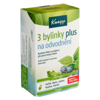 Kneipp Plus 3 bylinky na odvodnění 60 tobolek 28,6g