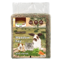 Seno Nature Land Hay s mrkví 0,65kg