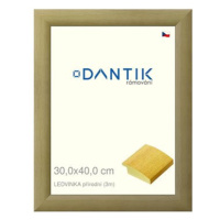 DANTIK rámeček 30 × 40, LEDVINKA přírodní plexi čiré