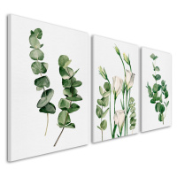 Obraz na plátně PLANTS III. set 3 kusy různé rozměry Ludesign ludesign obrazy: 3x 50x70 cm