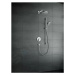 Hansgrohe 26470000 - Hlavová sprcha 240, 2 proudy, EcoSmart 9 l/min, sprchové rameno 39 cm, chro