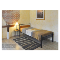 IRON - ART Kovová Postel Iron-Art NANTES 3 - DUB Rozměr: 180x200 cm, barva kovu: 9 bílá, barva d