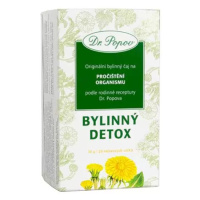 Dr.Popov Čaj Bylinný detox 20x1.5g