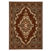 Alfa Carpets  Kusový koberec TEHERAN T-102 brown - 120x170 cm