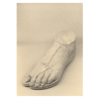 Paper Collective designové moderní obrazy The Foot (70 x 100 cm)