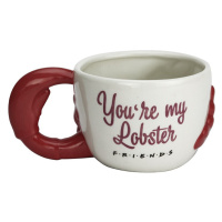 Hrnek Friends - You Are My Lobster