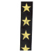 D'Addario Woven Guitar Strap Gold Star