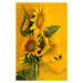 Fotografie Sunflowers on Yellow, Kathryn8, 26.7 × 40 cm