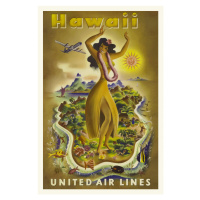 Obrazová reprodukce Vintage Travel Poster (Hawaii), 26.7 × 40 cm