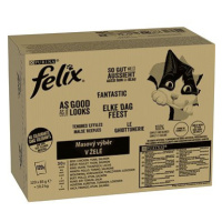 Felix Fantastic multipack lahodný výběr v želé 120 × 85 g