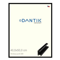 DANTIK rámeček 40 × 50, ALU profil 7269 Černý lesklý sklo čiré