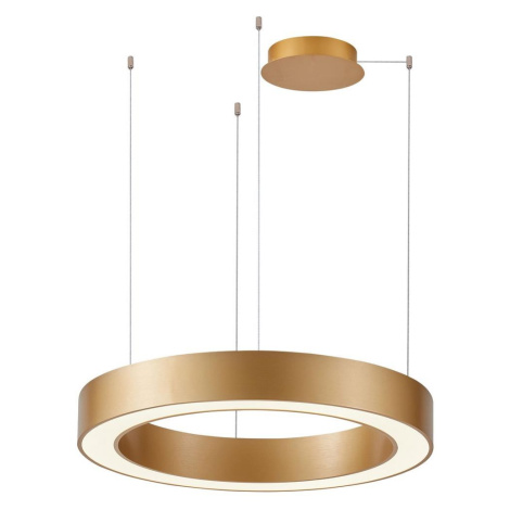 Azzardo  - LED Stmívatelný lustr na lanku MARCO LED/50W/230V zlatá + DO