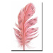 Obraz 45x70 cm Feather – Wallity