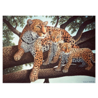 Creatoys Malování velké Royal Leopard s mláďaty