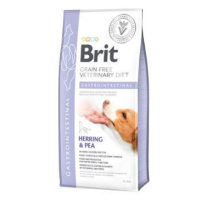 Brit Veterinary Brit VD Dog GF Gastrointestinal 12kg