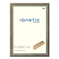 DANTIK rámeček 21 × 29,7, Y-ka fialový linka sklo čiré