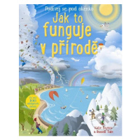 Jak to funguje v přírodě (Podívej se pod okénko) - Tate Russell, Katie Daynes - kniha z kategori