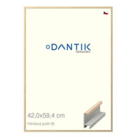 DANTIK rámeček 42 × 59,4, ALU profil 6035 Dýha dub raw plexi čiré