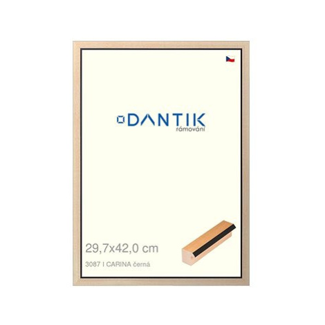 DANTIK rámeček 29,7 × 42, CARINA černý plexi čiré