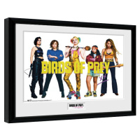Obraz na zeď - Birds Of Prey: Podivuhodná proměna Harley Quinn - Group