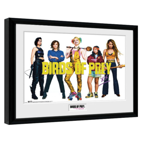 Obraz na zeď - Birds Of Prey: Podivuhodná proměna Harley Quinn - Group, 34x44.2 cm GB Eye