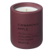 Vonná sojová svíčka doba hoření 24 h Fraga: Cinnamon & Apple – Blomus