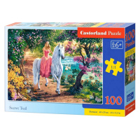 mamido  Puzzle 100 dílků Tajná stezka jednorožec princezna