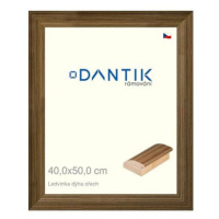 DANTIK rámeček 40 × 50, LEDVINKA dýha ořech plexi čiré