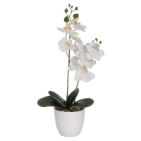 Umělá květina (výška 39 cm) Orchid – Casa Selección