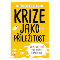 Krize jako příležitost - 28 strategií pro využití každé krize