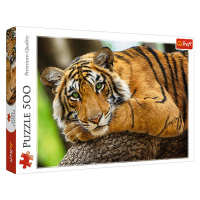 Trefl Puzzle 500 - Portrét tygra
