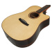 Tanglewood TJ 5 CE