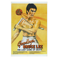 Ilustrace Goodbye Bruce Lee, 26.7 × 40 cm