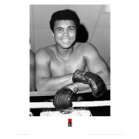 Umělecký tisk Muhammad Ali - Smile, 60 × 80 cm