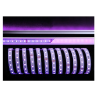 Light Impressions Deko-Light flexibilní LED pásek 5050-60-24V-RGB plus 6200K-5m-Silikon 24V DC 7