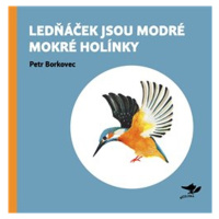 Lednáček jsou modré mokré holínky