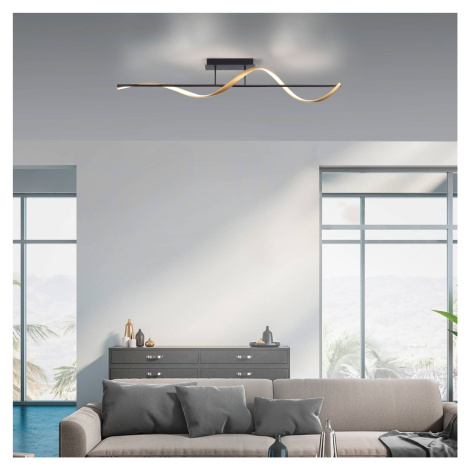 Q-Smart-Home Paul Neuhaus Q-Swing stropní světlo antracit/mosaz
