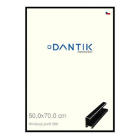 DANTIK rámeček 50 × 70, ALU profil 7269 Černý lesklý plexi čiré