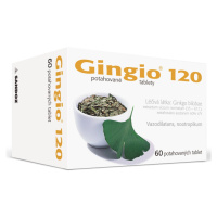 Gingio 120 mg potahované tablety, 60 tablet