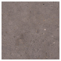 Dlažba Pastorelli Biophilic dark grey 60x60 cm mat P009460